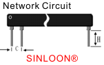 Network Circuit 